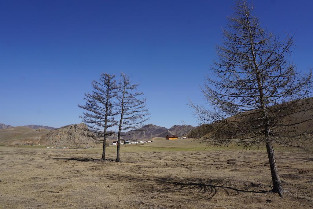 My Mongolia Eco Ger Camp Hotel Nalayh Exterior foto